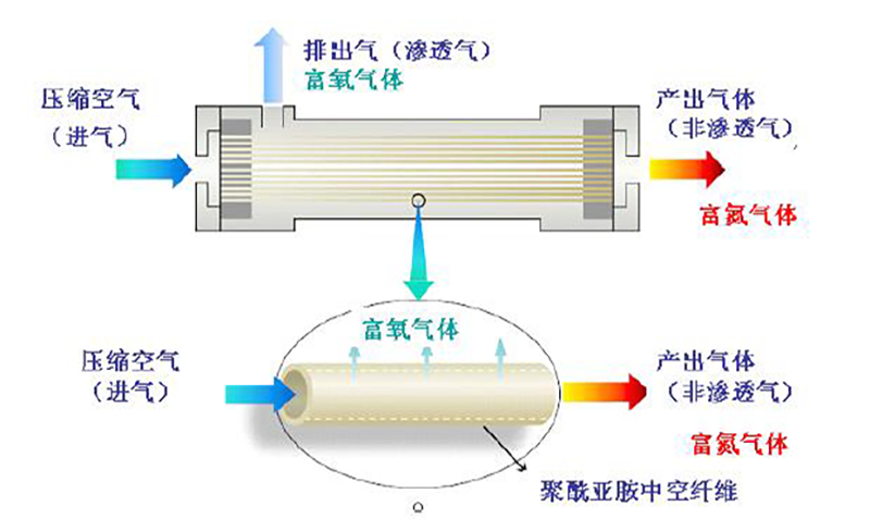 ʲôĤշƵ (2).png